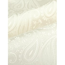 WANYING Men's Pre-Tied Plastron Tie & Pocket Square 2 in 1 Set Adjustable with Hook Closure Wedding Tie at Weddings - Paisley Pattern White, With Pocket Square - White