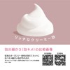 Kai KQ-3187 Organza Frothing Net (EMO)