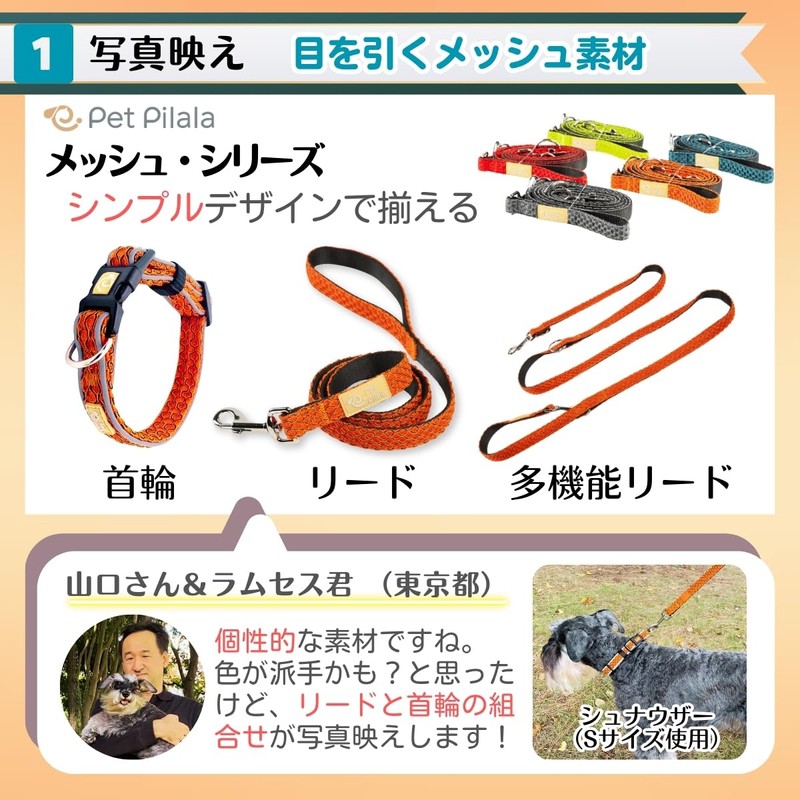 Pet Pilala Dog Leash Shoulder Leash Hands-Free Photographic 2 Head