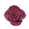 Leap Natural Dried Red Dragon Fruit 8oz
