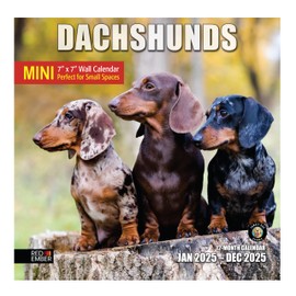 RED EMBER Dachshunds Mini 2025 Wall Calendar 12 Month | 7" x 14" Open | Thick & Sturdy Paper | Giftable | Calendar 2025