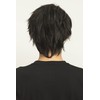 Clearstone WIGGY RICH Wig, Fashion Wig, Basic Short, Men's Black,