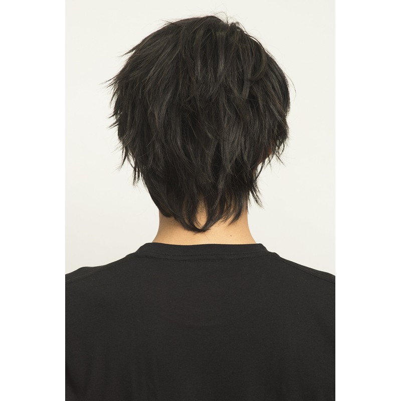 Clearstone WIGGY RICH Wig, Fashion Wig, Basic Short, Men's Black,