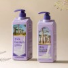 Milk Baobab 밀크바오밥 샴푸 + 트리트먼트 + 바디워시 라벤더가든 Milk