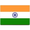 India Flag Fridge Magnet Delhi Agra Travel Souvenir