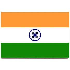 India Flag Fridge Magnet Delhi Agra Travel Souvenir