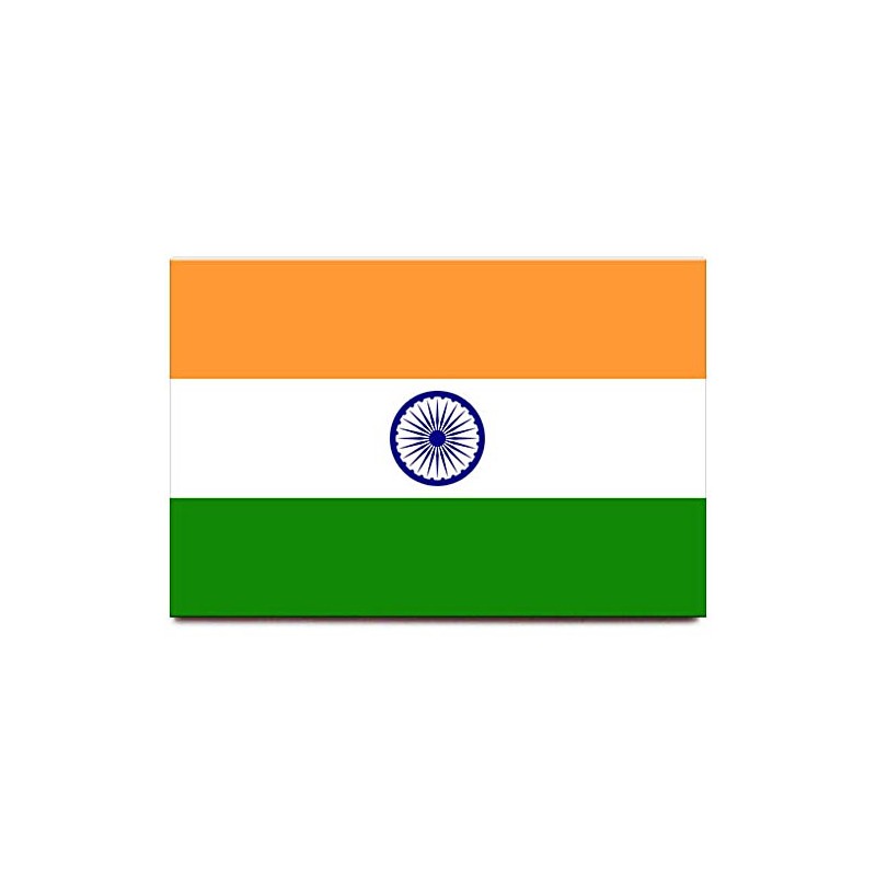 India Flag Fridge Magnet Delhi Agra Travel Souvenir