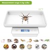 MINDPET-MED 11lbs/0.1g Pet Scale for Small Animal, Whelping Scale, Guinea