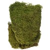 RAYHER 8508300 Dried Moss Bag 100 g, Moss Green/Brown, 29