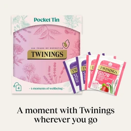 Twinings premium Pocket Tea Tin(Pink) – 4 Tea Envelopes | Stocking Filler, Secret Santa, Christmas Gifts & Travel-Size Tin | Premium Tea Selection under £10