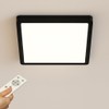Epochglo LED Ceiling Light Black