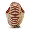 Carolata Nautilus Plush Animal 11cm*16cm*19cm