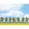 Noch® Betulle, con Alberi modellistici, Altezza 10 cm, Ideale per