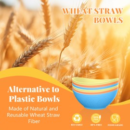 SINOGE Wheat Straw Bowl Sets of 6, 10 OZ Small Bowls with Etched Pattern,Microwave and Dishwasher Safe Appetizer Bowls for Ice Cream,Snack,Kids Cereal Bowls Alternative for Plastic Bowls- Fiesta Feast