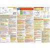 FTS Instrument Pilot Oral Exam Study Guide Poster (27x19 In.,