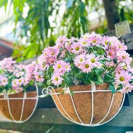 Shoplala Wall Planters Outdoor Plants (2 Pack, 10 Inch) White Metal Wall Mounted Flower Basket with Coco Liner, Balcony Planters Railing Hanging Fence Planter Wire Deck Porch Patio Modern Garden Decor