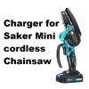 coming data ac adapter battery Charger for Saker Mini 20v