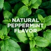 Plant of Life Pulling Oil | Natural Daily Oral Care