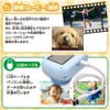 Hi-Tec WEC22-BG-GD Mini Kids Camera, Panda Beige, Digital Camera, 48