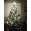 SHATCHI 300 LEDs Fairy String Lights Cool White Indoor/Outdoor Christmas