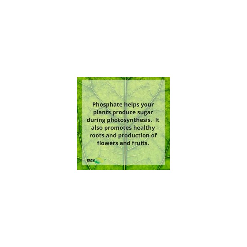 Easy Peasy TRIPLE SUPER PHOSPHATE FERTILIZER 0-46-0 | phosphorus fertilizer