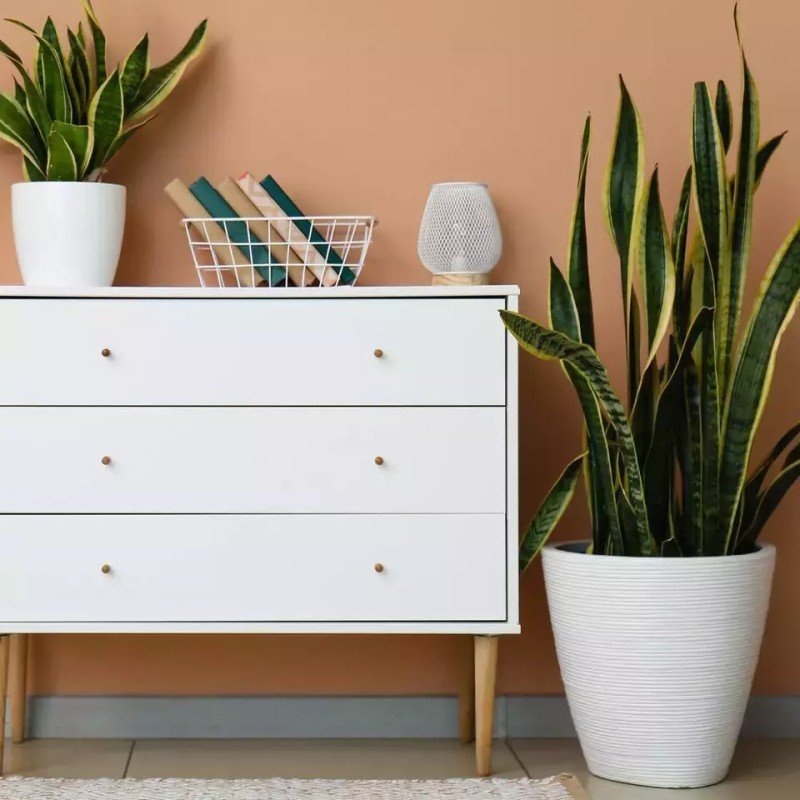 HDX 10 Oz. All Purpose Gloss White Spray Paint