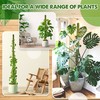 DUSPRO Stackable Mesh Moss Pole for Plants Monstera Potted Plant