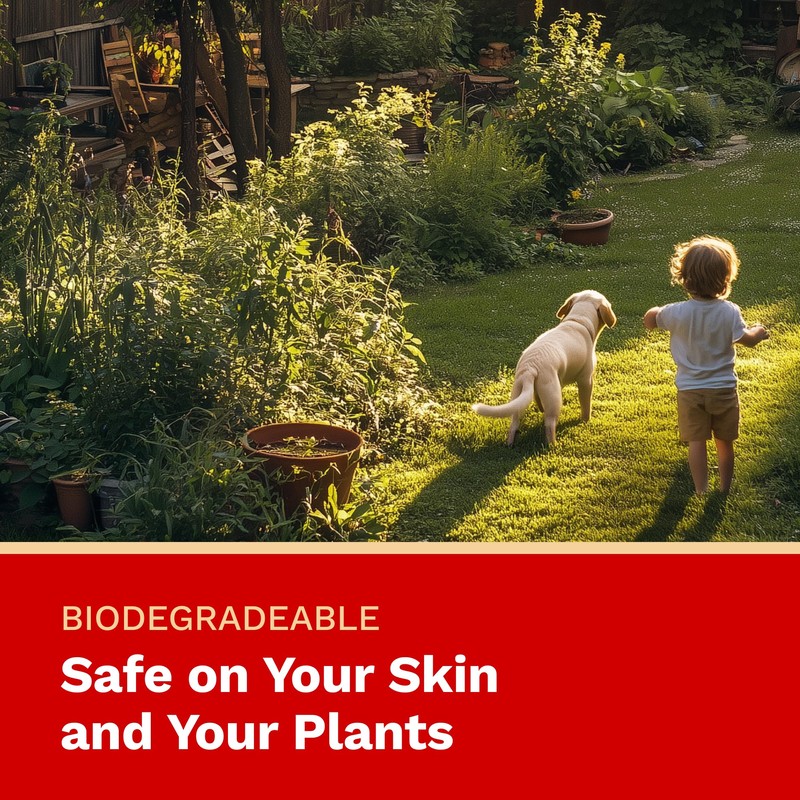 The Harvest Company Professional Grade Scissor Cleaner, Non-toxic, Biodegradable, Removes