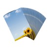 Summer Paper Writing Paper Sunflowers (50 Sheets DIN A4, 90