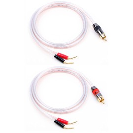 JORZOR 2 Pack Pin Type Plug to RCA Male Plug 14 AWG Speaker Cable，Audiophile 14 AWG OFC Speaker Wire (1M(3.3ft), 2 pin to RCA Male)