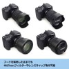 NinoLite EW-73D, RF24-105mm F4-7.1 IS STM & EF-S18-135mm F3.5-5.6 IS