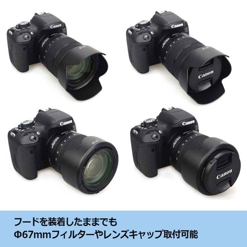 NinoLite EW-73D, RF24-105mm F4-7.1 IS STM & EF-S18-135mm F3.5-5.6 IS