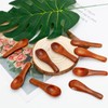 10pcs Tiny Wooden Spoons for Spices, 2.36x0.71 Inch Mini Condiment