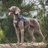 OneTigris Tactical Dog Training Vest No Pull Harness for Dogs,Adjustable