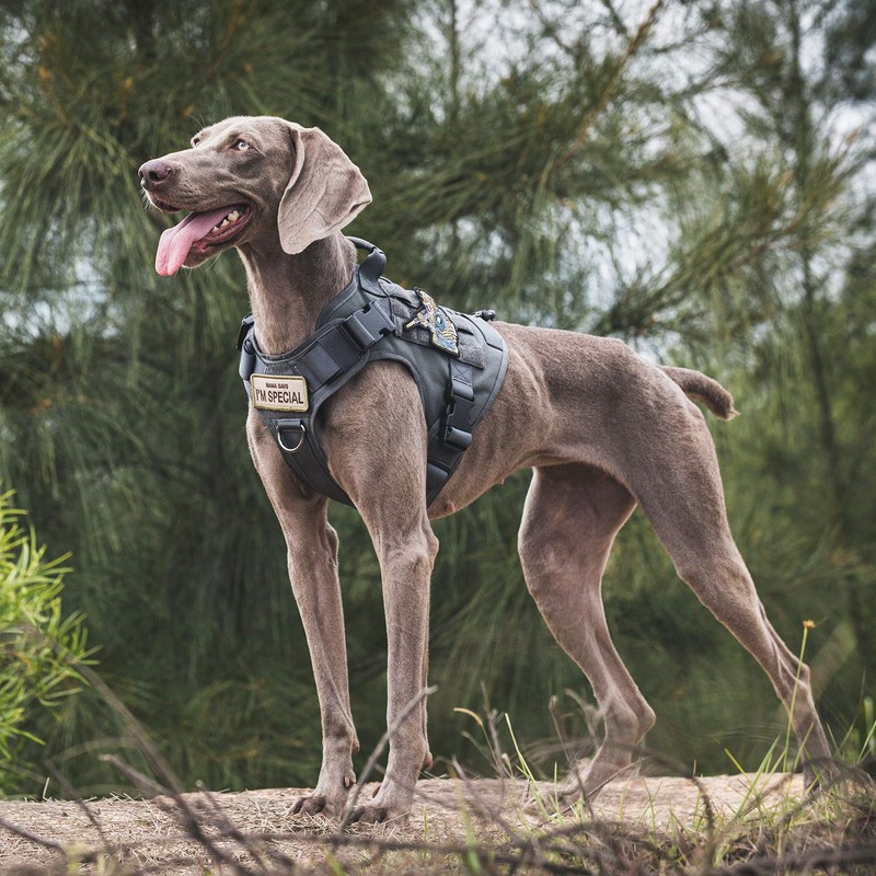 OneTigris Tactical Dog Training Vest No Pull Harness for Dogs,Adjustable