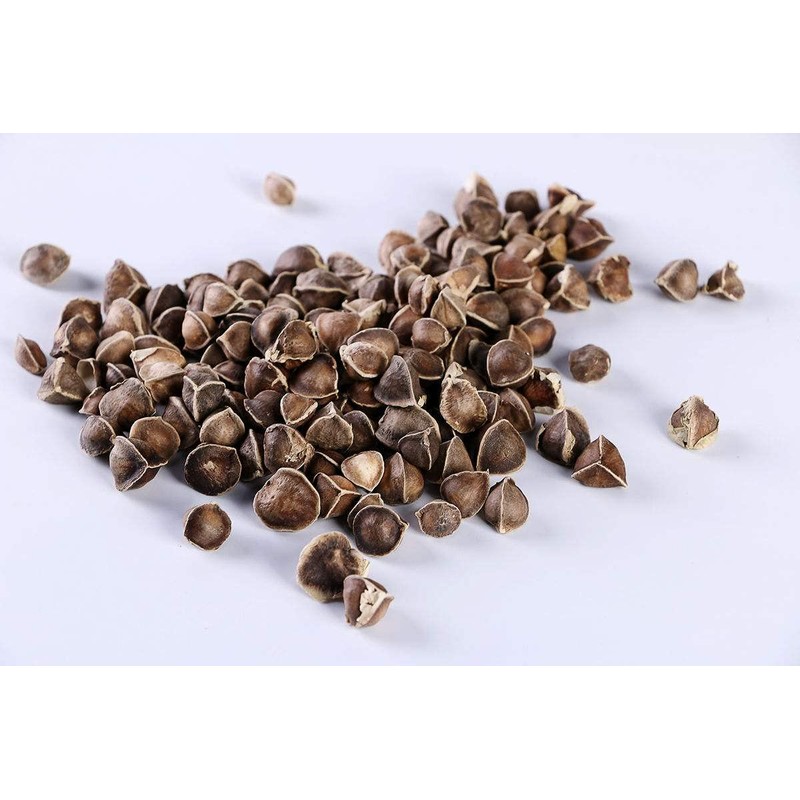 Chinese Herb Moringa OLEIFERA Seed 16 OZ 辣木籽