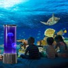 FBSPORT FBSPORT Quallen Lampe Lavalampe 17 Farben 4 Lichtmodi Jellyfish