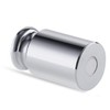 WedDecor WedDecor 100g Scale Calibration Weight with Chrome Plating Stainless