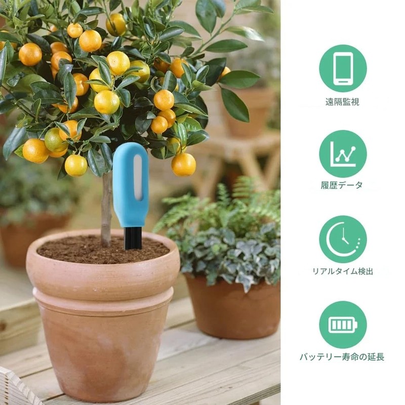 zmart Tuya Zigbee Soil Sensor, Humidity Temperature, Moisture Detector, Smart