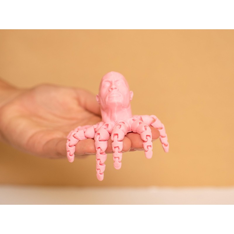 The Rocktopus Flexible Articulating 3D Printed Companion - Rock Dwayne