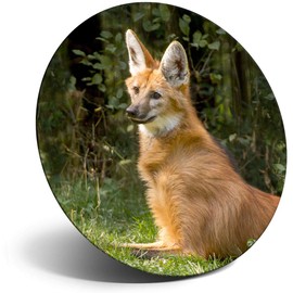 Destination Vinyl ltd Magnet for Refrigerator, Fridge - Cute Maned Wolf Dog Animal for Office, Cabinet and Whiteboard, Magnetic Stickers, 3452