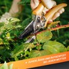 GRÜNTEK Bypass Secateurs Woodpecker, Allround Comfort Gardening Pruning Shears/Scissors with