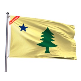 Double Sided Original 1901-1909 Maine State Flag 2x3FT ME Flag Polyester Vivid Color With 2 Brass Grommets For Maine Themed Festival Events Party Decoration Indoor Outdoor(1901-1909 ME-1, 2x3ft-3ply)