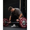 Athletic Aesthetics Professional Lifting Straps (Padded) + Basic Exercise Guide