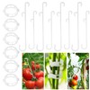 SANOU Tomato Hooks Pack of 100 Tomato Hooks with 60