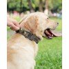 Joytale Tactical Dog Collar with Handle, Adjustable Heavy Duty Military