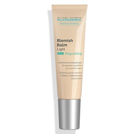 Schrammek Blemish Balm BB Cream 40ml / 슈라멕 블레미쉬밤 비비크림 40ml
