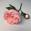 Bergin & Bath Paper Flower Kit - Peony. Papercraft kit