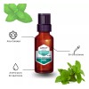 Aro+ Aceite Esencial Menta, Aromaterapia, Puro, Uso Terapéutico