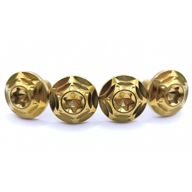 Kuroobaa Titanium Motorcycle License Plate Bolts with Security Anti-Theft Hex